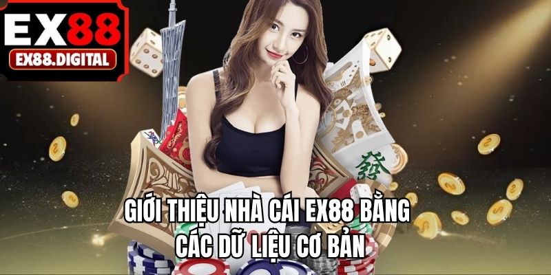 Giới thiệu nhà cái EX88 bằng các dữ liệu cơ bản