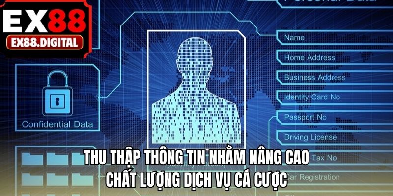 Thu thập thông tin nhằm nâng cao chất lượng dịch vụ cá cược